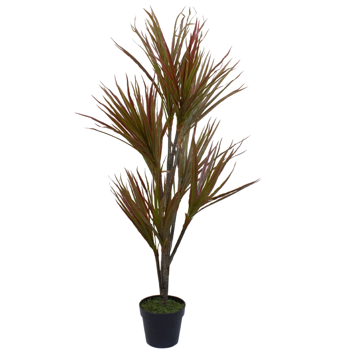 55 in. Green & Red Artificial Dracaena Potted Plant