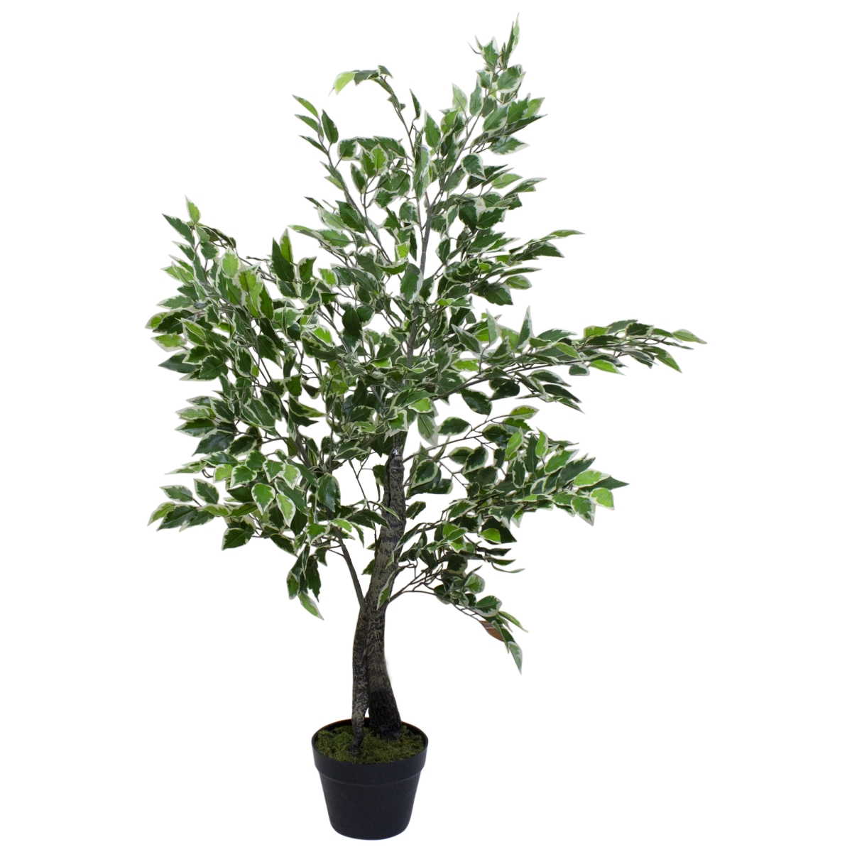 47 in. Artificial Variegated Green & Ivory Leaf Ficus Potted Plant
