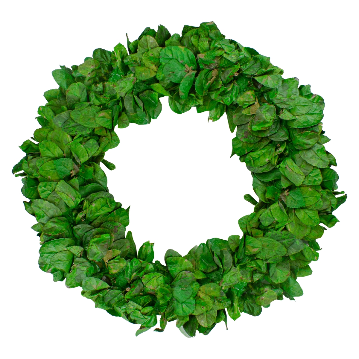 Lush Green Preserved Leaf Spring Garden Wreath - Green - 20in. dia.