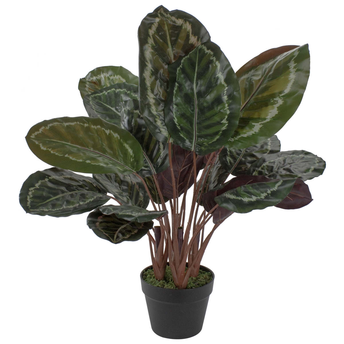 30 in. Artificial Large Green Leaf Calathea Potted Plant