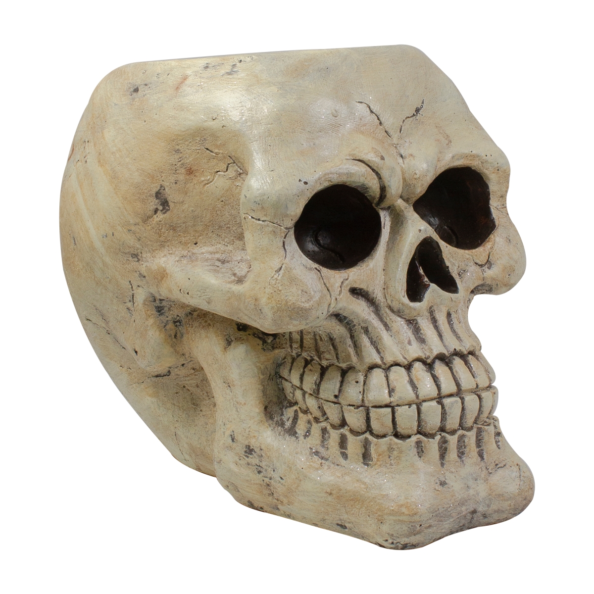 Picture of NorthLight 34338767 11 in. Halloween Skull Tabletop Decoration&#44; Ivory & Black