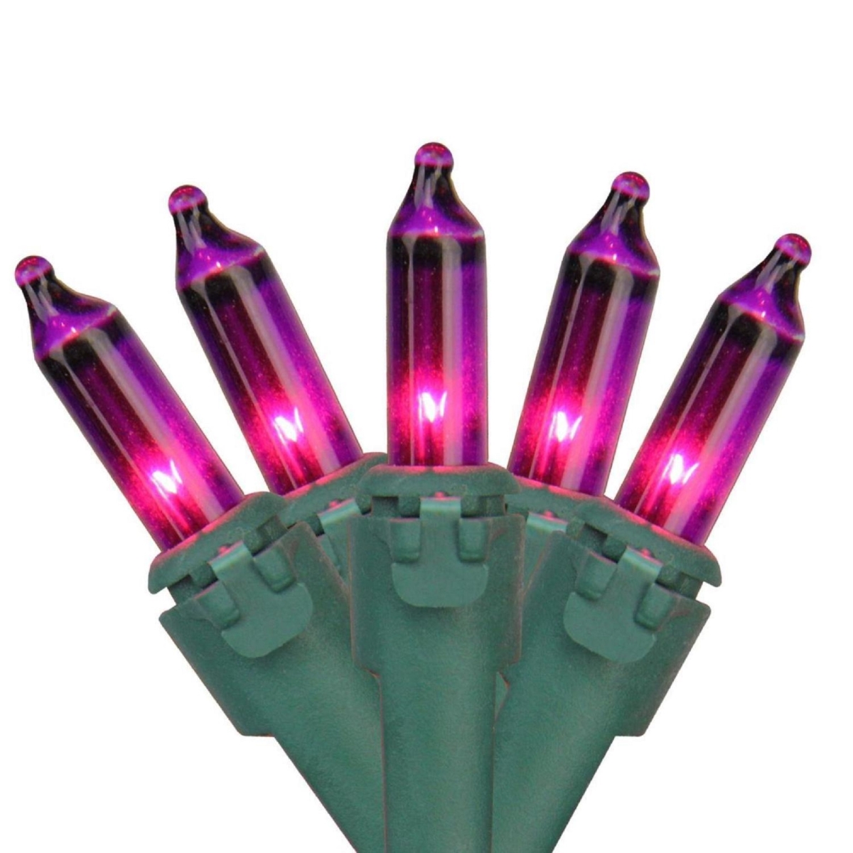 Picture of Brite Star 32635912 49.6 ft. Green Wire Purple Mini Christmas Light Set - 100 Count