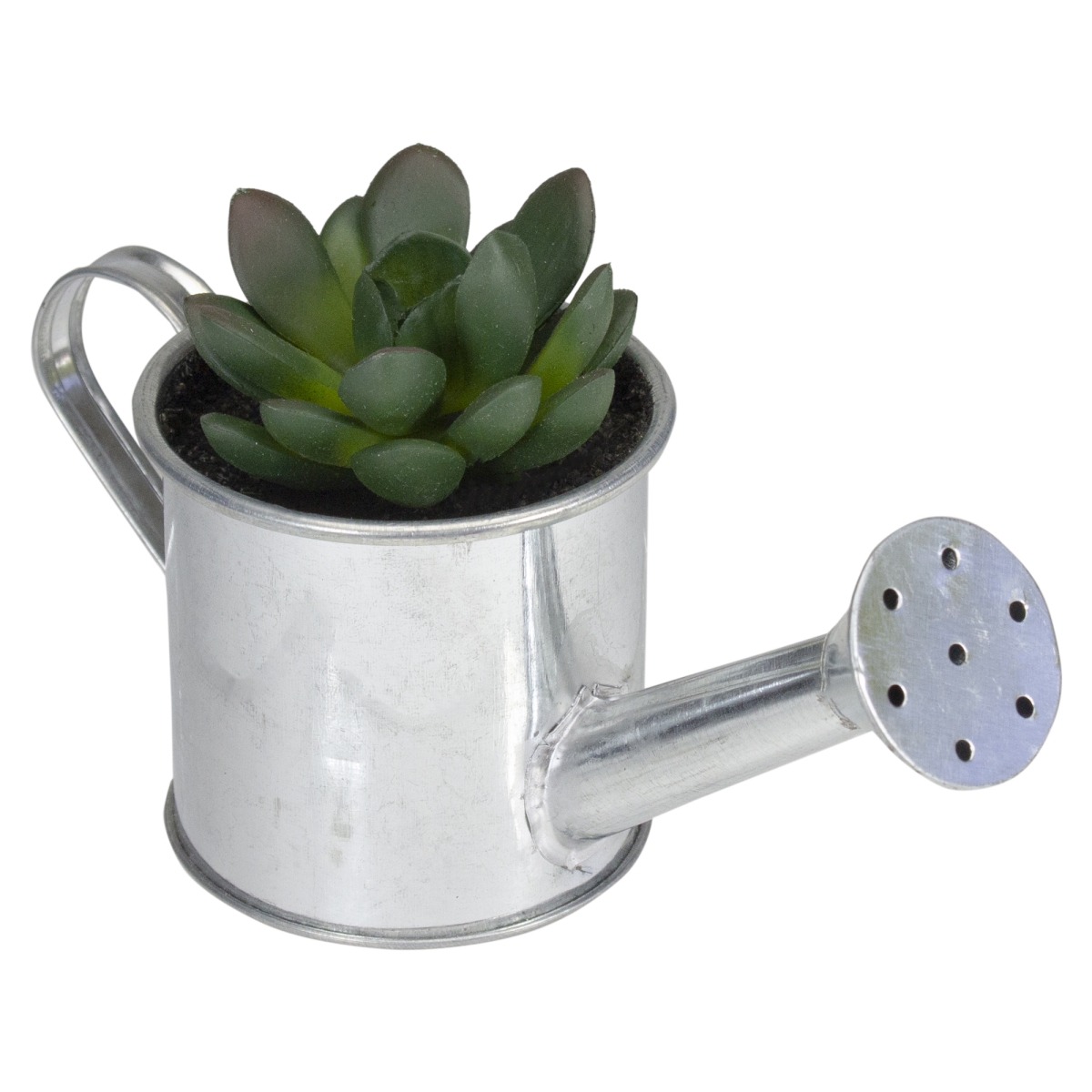 32738482 6 in. Tropical Artificial Rose Succulent with Water Can