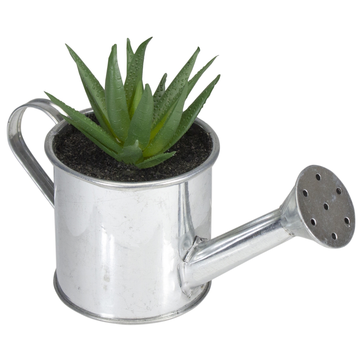 6 in. Artificial Mini Aloe Vera Succulent Plant with Watering Can
