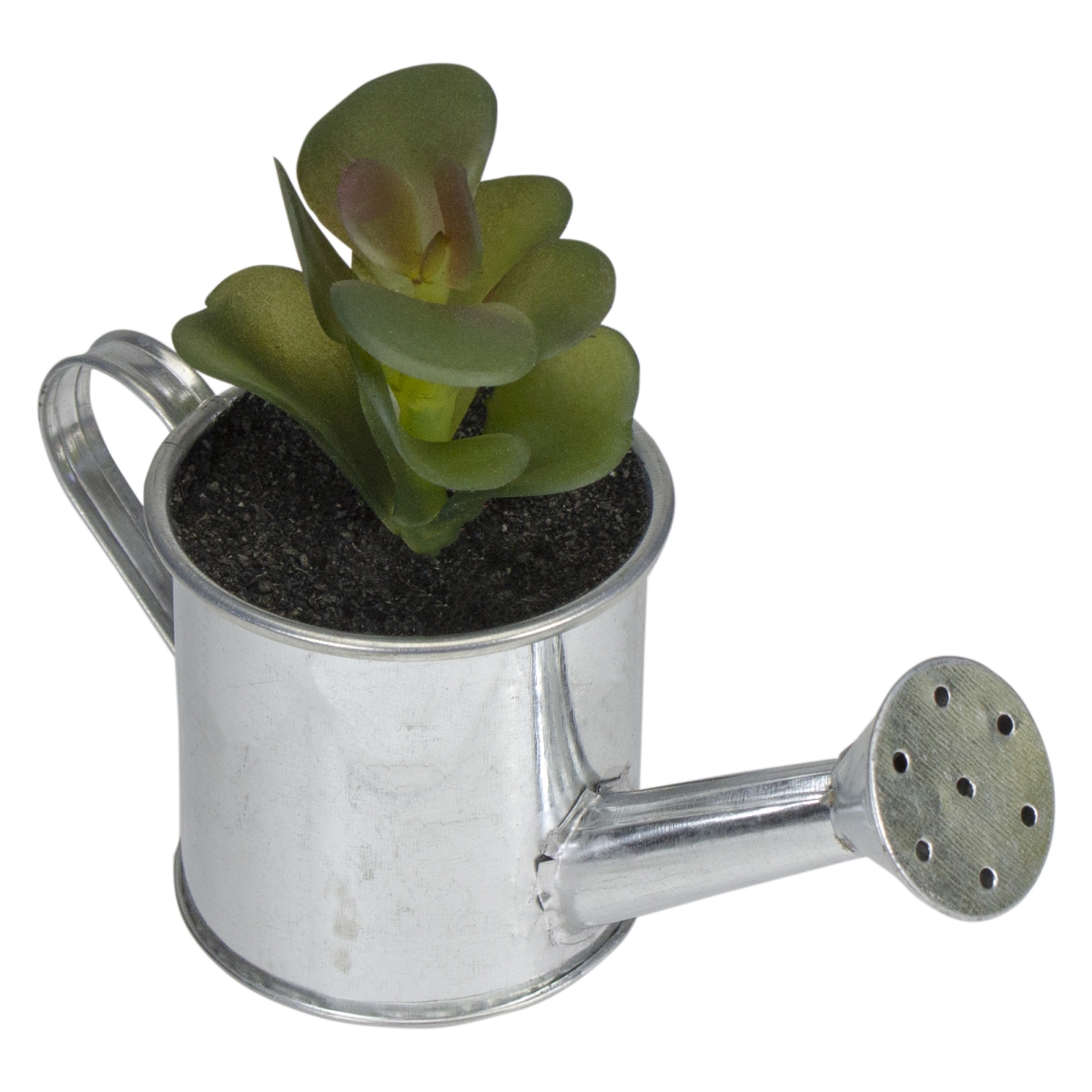 32733423 6 in. Tropical Artificial Atlantis Succulent in Water Can