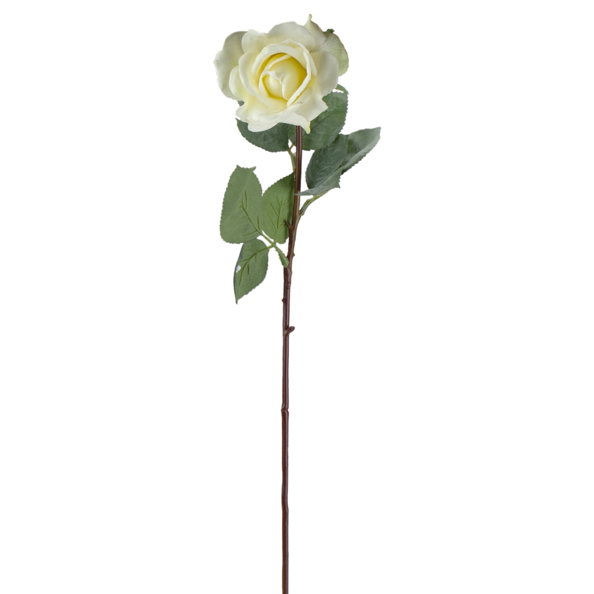 Picture of Allstate 32606513 27 in. Long Stem Rose Artificial Floral Craft Pick Flowers, Cream White
