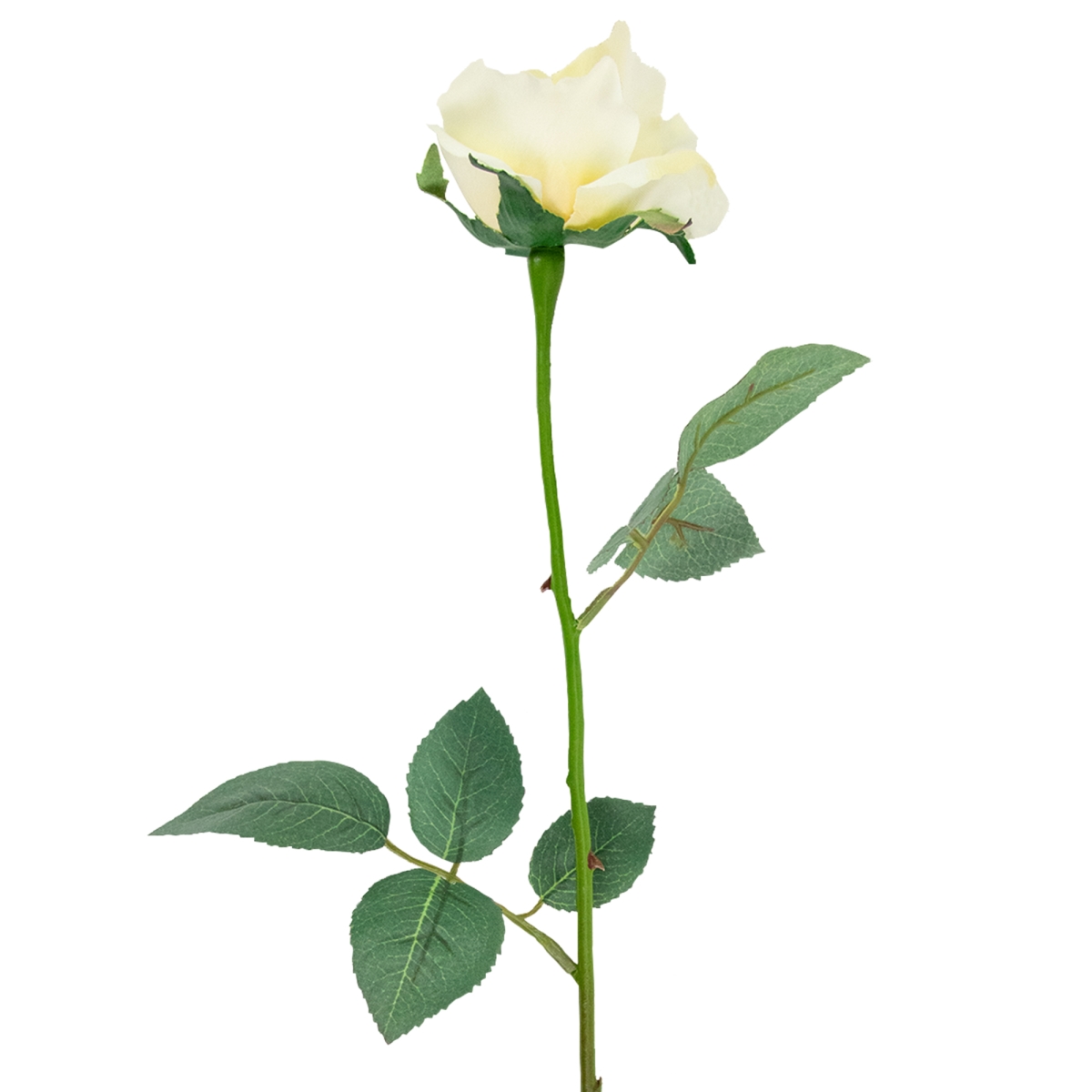 35163914 22 in. Long Stem Blooming Vanilla Rose Artificial Floral Silk Pick Flowers
