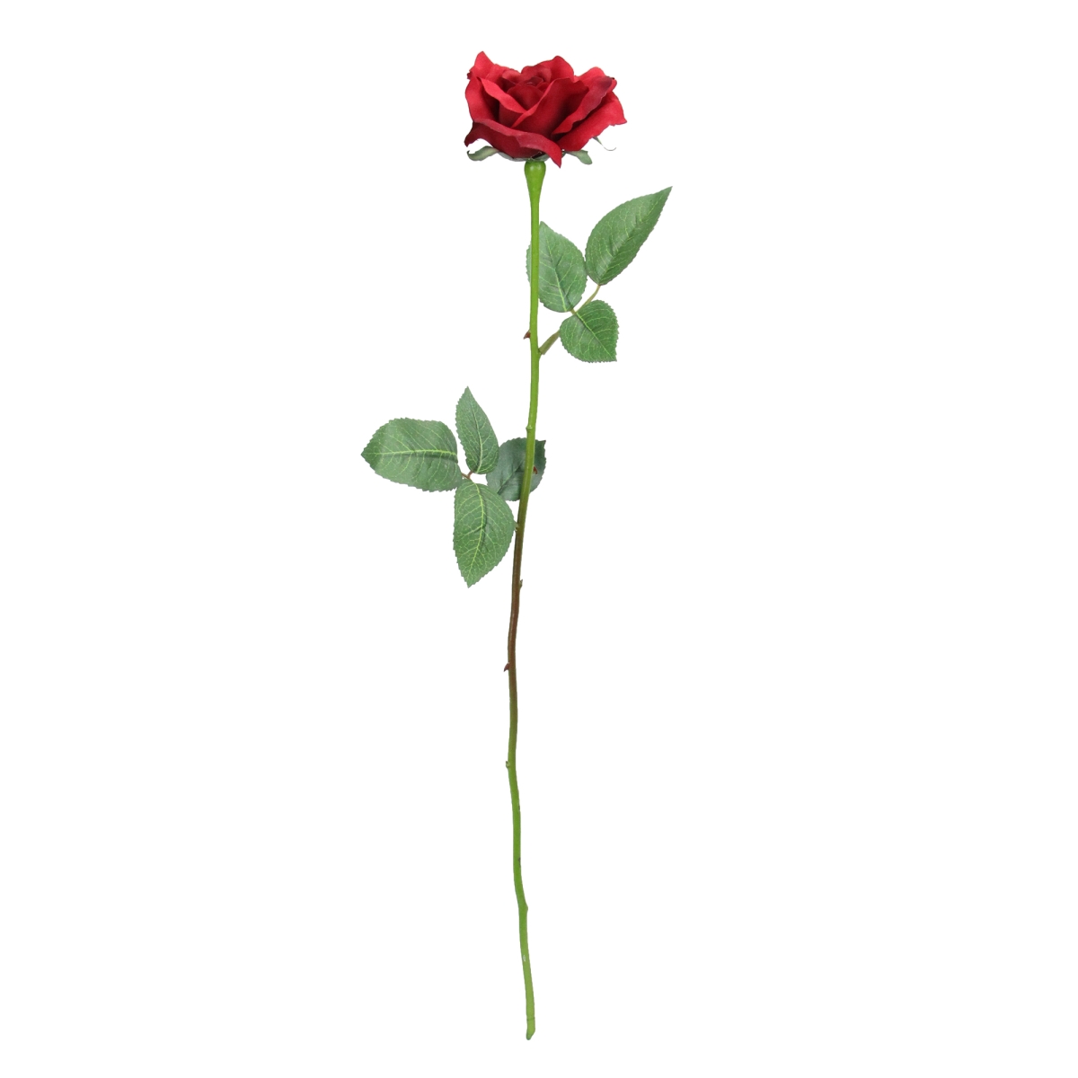 Picture of Allstate 33401295 23 in. Long Stem Artificial Blooming Rose Pick Flowers, Red