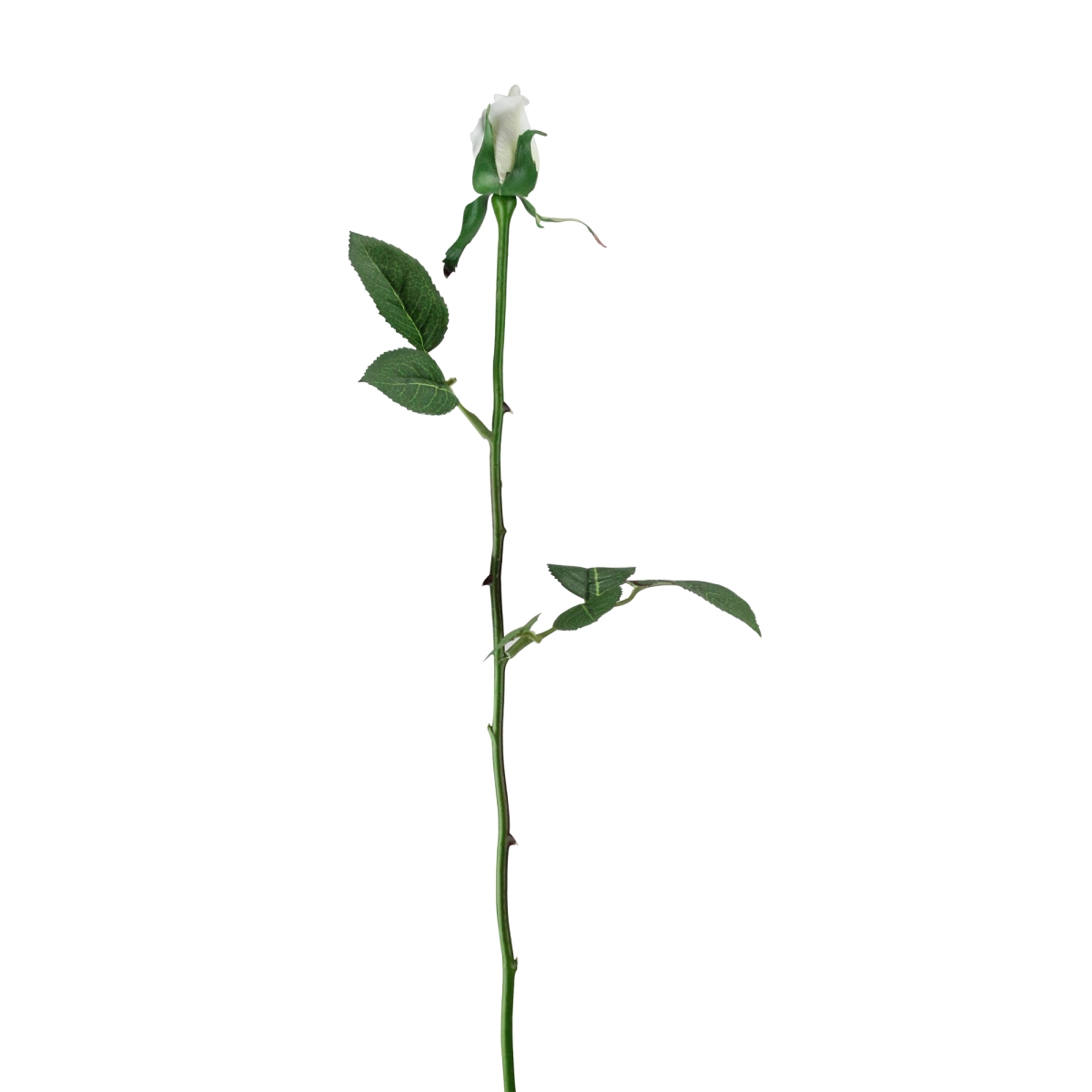 Picture of CC Home Furnishings 32607832 22.5 in. Artificial Long Single Stem Budding Rose Flowers, Cream
