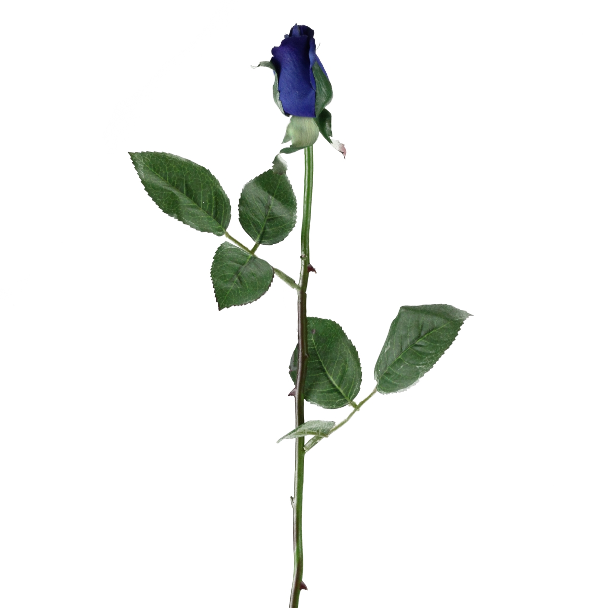 Picture of Allstate 32607376 23 in. Long Stem Rose Bud Pick Flowers, Royal Blue