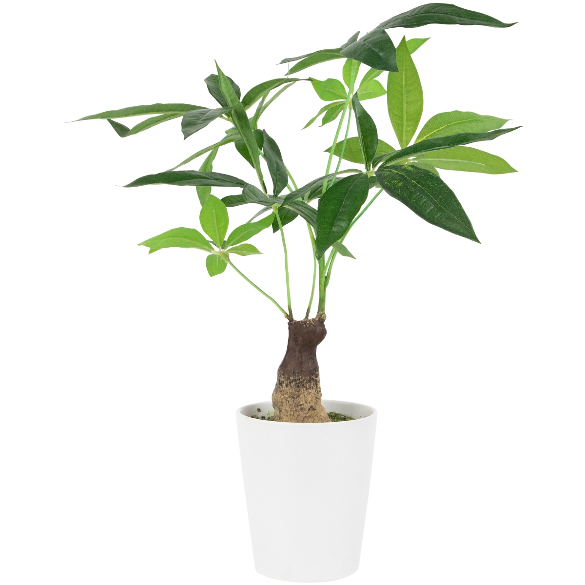 35688265 20 in. Little Tree Artificial Leaves in White Pot, Green
