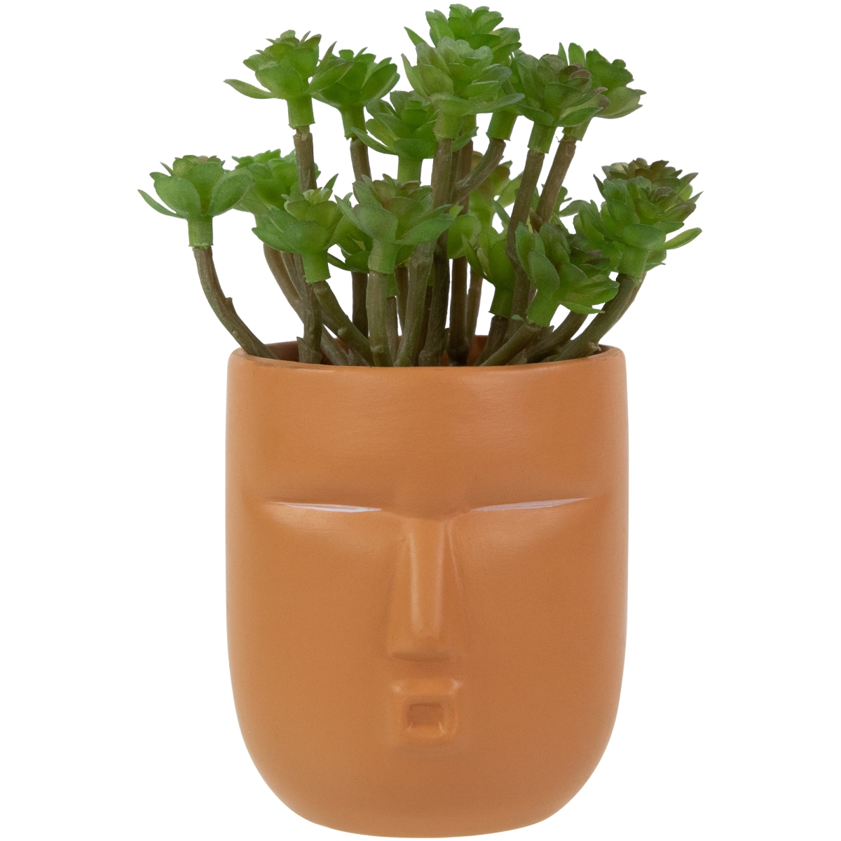 35687984 5.5 in. Mini Artificial Succulent in Face Planter Pot