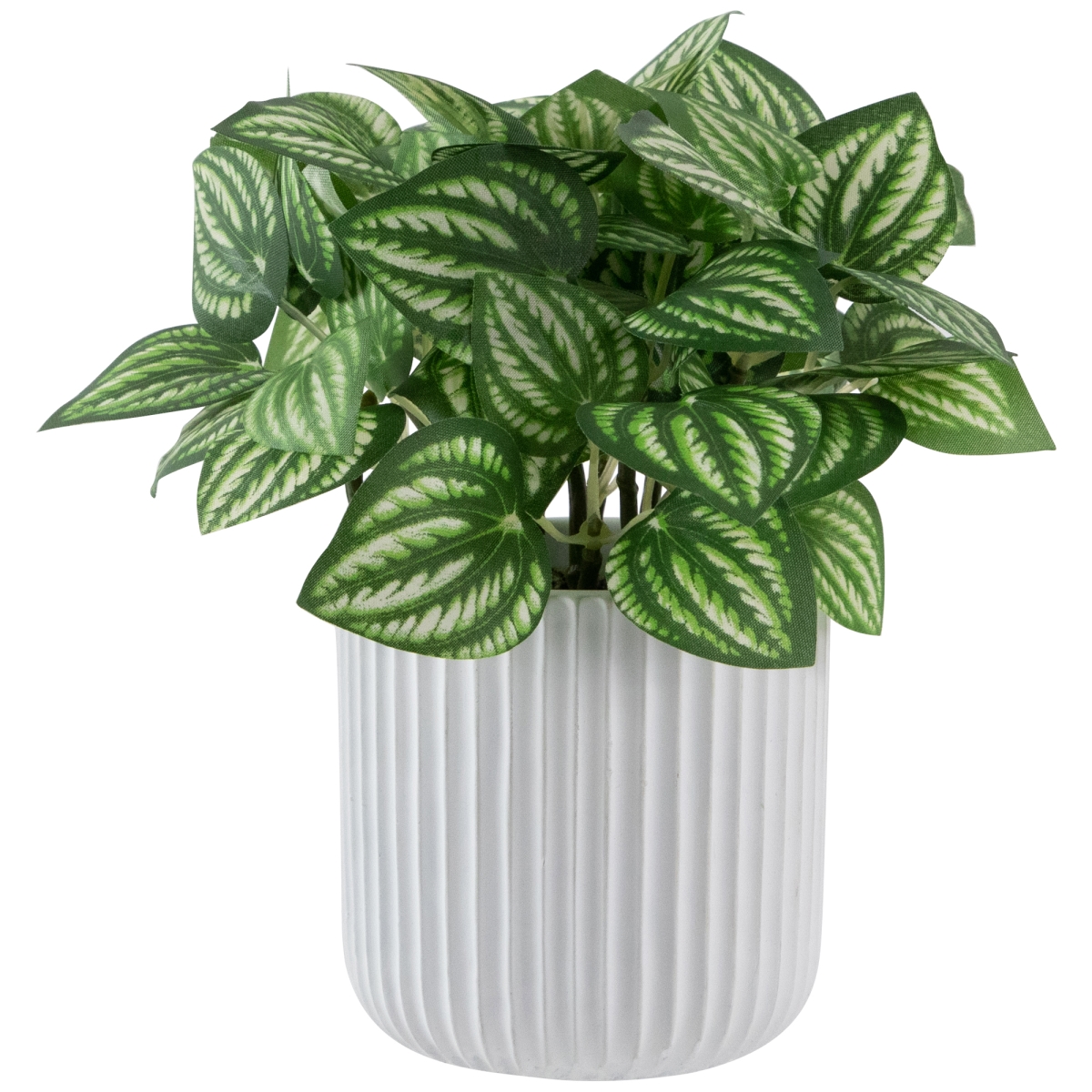35687988 6.5 in. Artificial Watermelon Peperomia Plant in White Pot