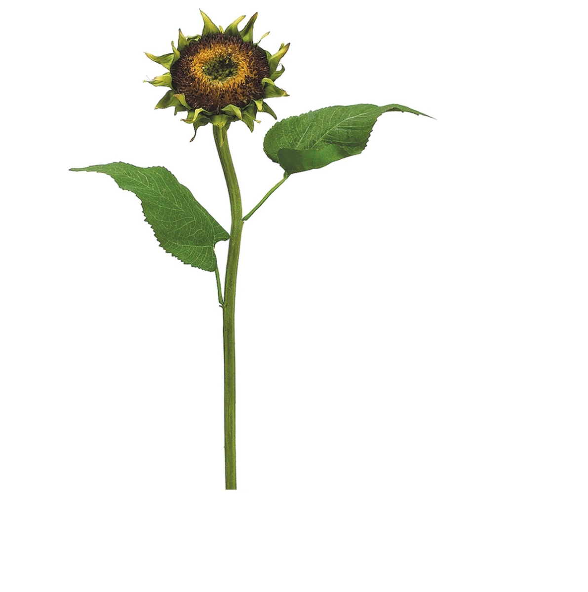Picture of Allstate 35164017 28 in. Sunflower Artificial Spray&#44; Brown