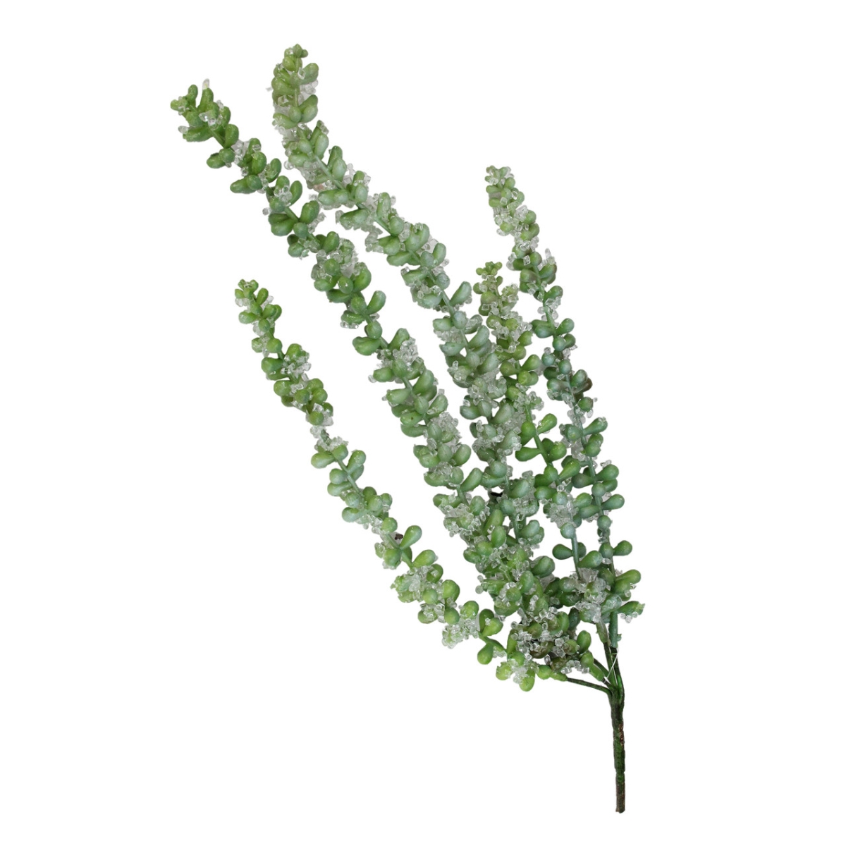 Picture of Allstate 32923876 16.5 in. Iced Donkeys Tail Artificial Succulent Spray for Unisex&#44; Green