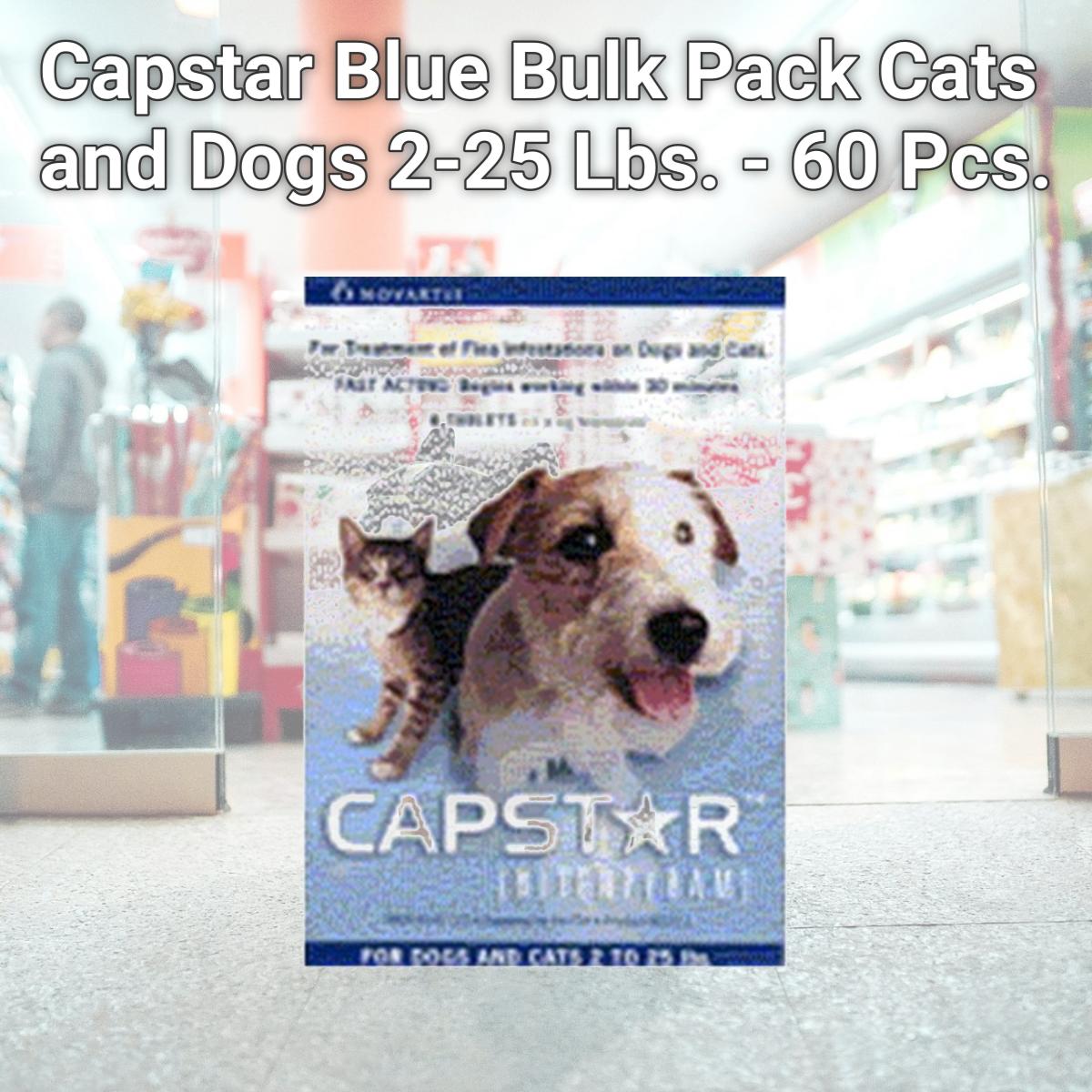 Picture of Novartis BULKCAPSTAR-BLUE Capstar Blue Bulk Pack Cats and Dogs 2-25 Lbs. - 60 Pcs.