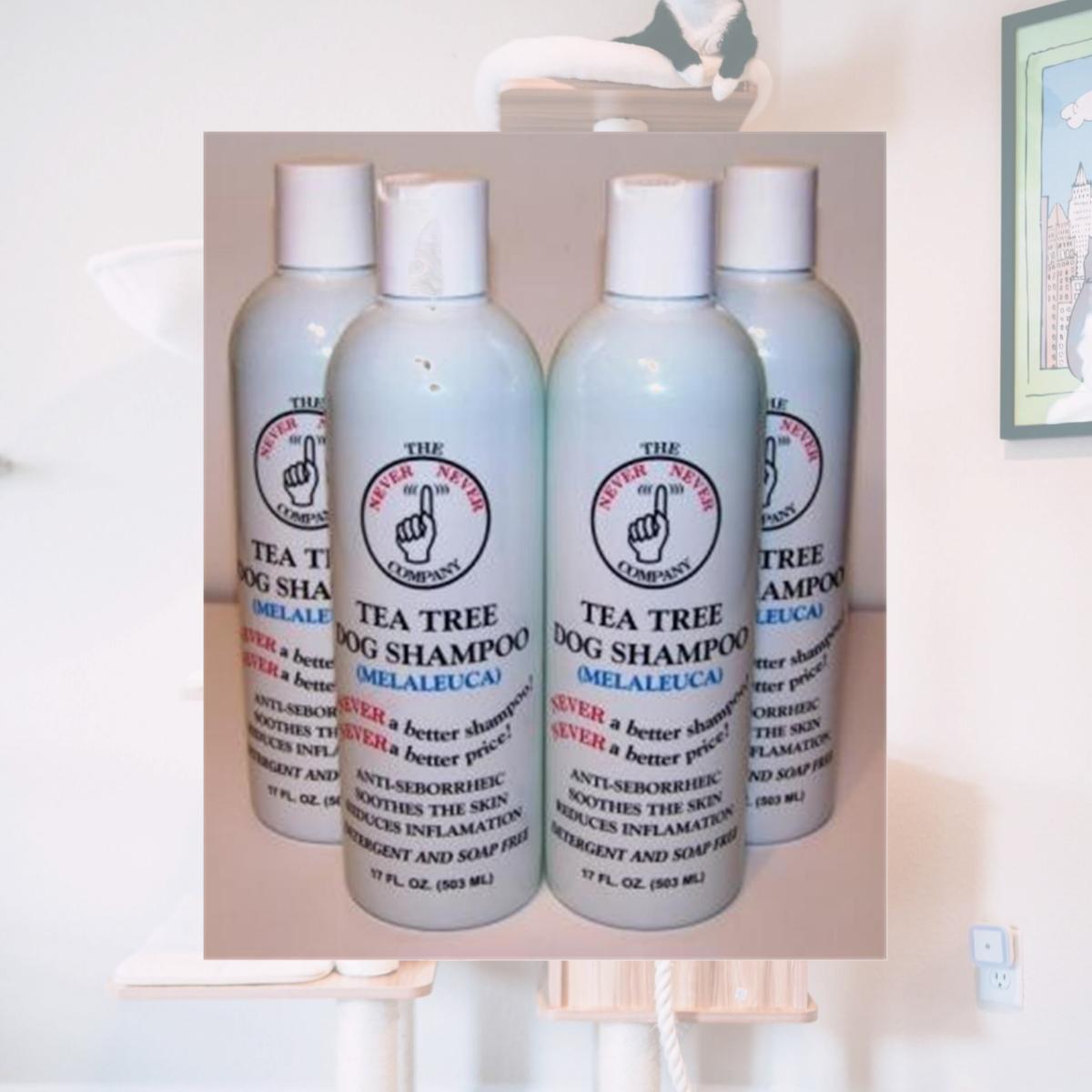Picture of The Never Never Co. TEATREE-1GAL Tea Tree Shampoo - 1 Gallon Jug