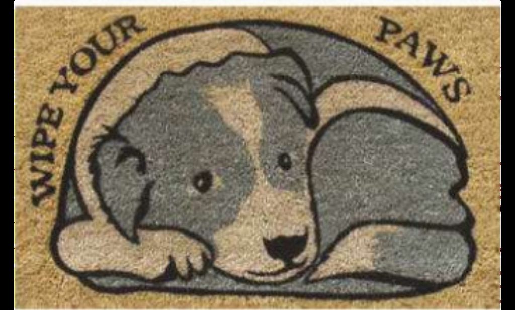 G275 18 x 30 in. Coir Resting Dog Welcome Doormat