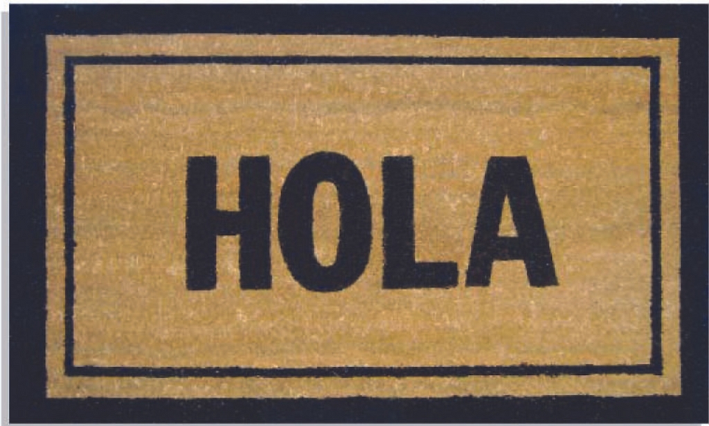 G334 18 x 30 in. Coir Hola Doormat