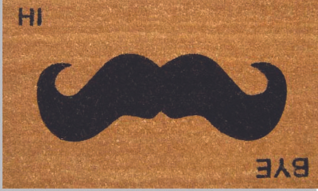 G357 18 x 30 in. Coir Hi Bye Mustache Doormat, Beige