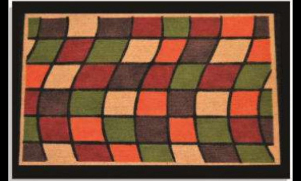 G394-48B-48 30 x 48 in. Coir Windows Design Welcome Doormat, Multi Color - Large