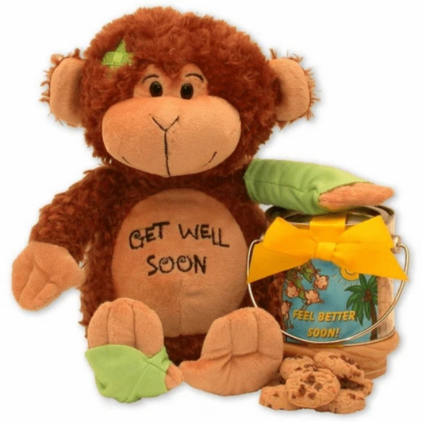 Picture of Gift Basket Drop 813522 Friend on The Mend Monkey & Cookie Pail Get Well Soon Basket Gift