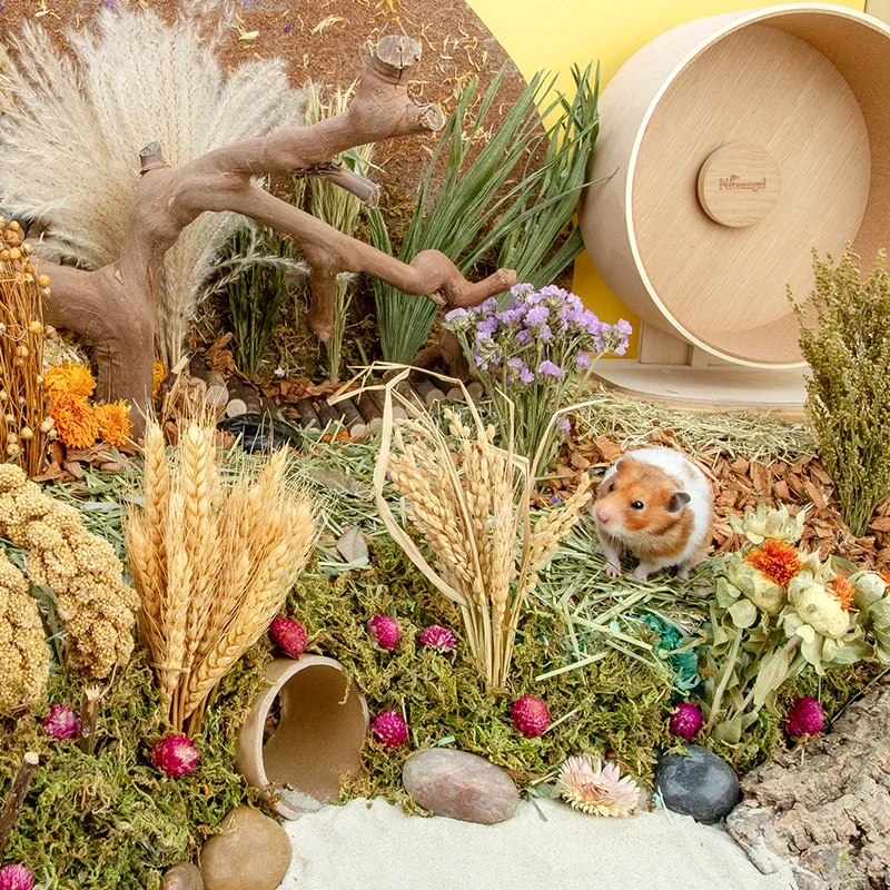 NM59175 Dried Flower Hamster Bedding Hamsters Cage Landscaping Supplies Chipmunk Molar Toy Rat Accessories Small Pet Bedding