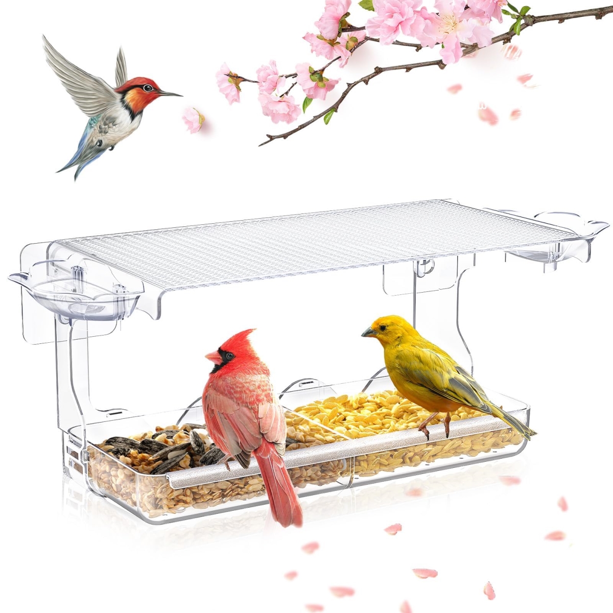 tek NT75802 Window-Mounted Wild Bird Feeder with Self-Adhesive Hooks, Clear