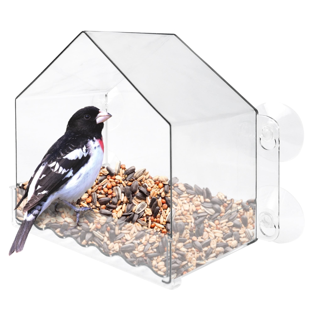 tek NT75877 6.5 in. Natures Way WIN-3 Window Bird Feeder with Strong Suction Cups & 2 Cup Capacity, Clear