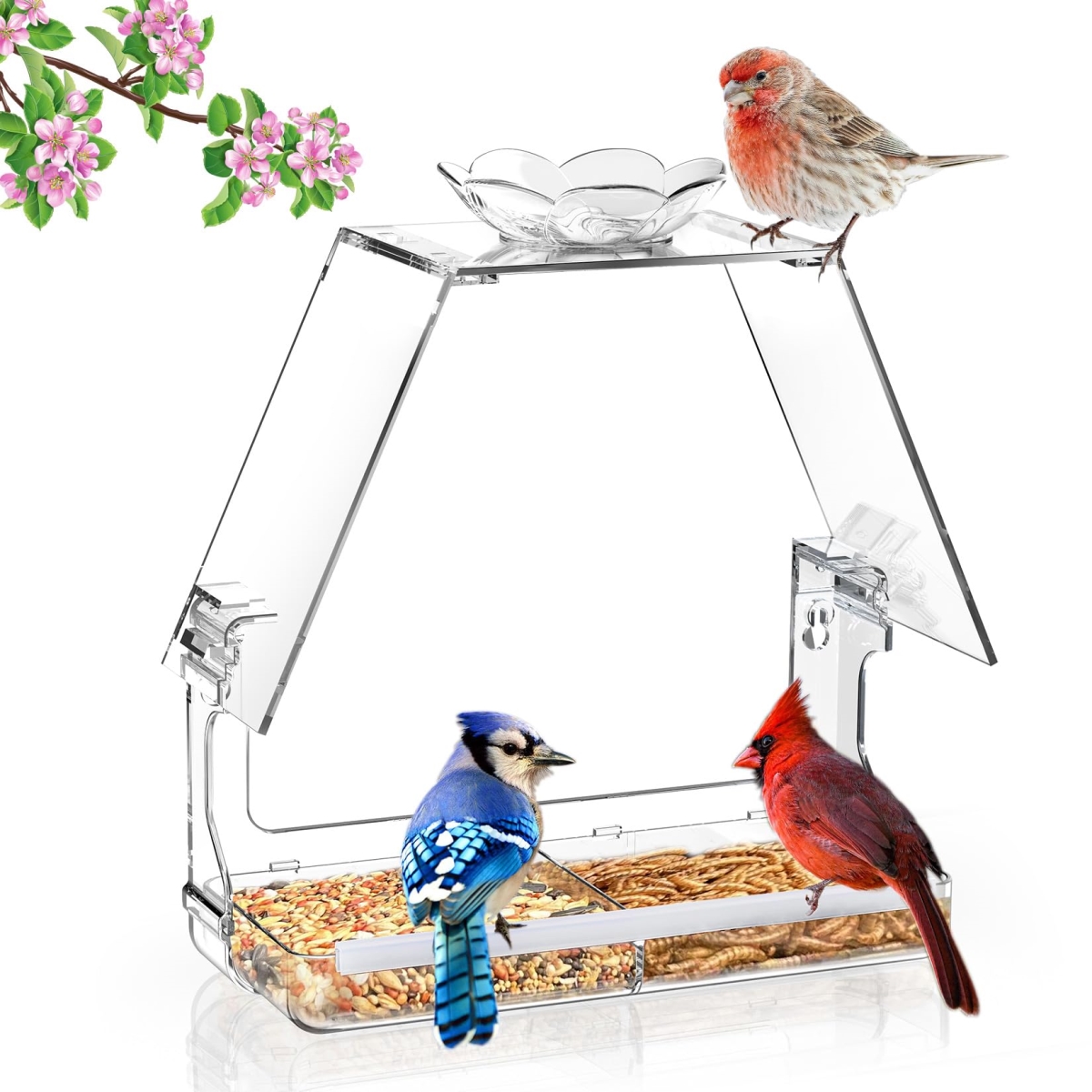 tek NT77874 Window Outdoor Wild Bird Feeder with Non-Marking Self-Adhesive Hooks, Clear & Transparent
