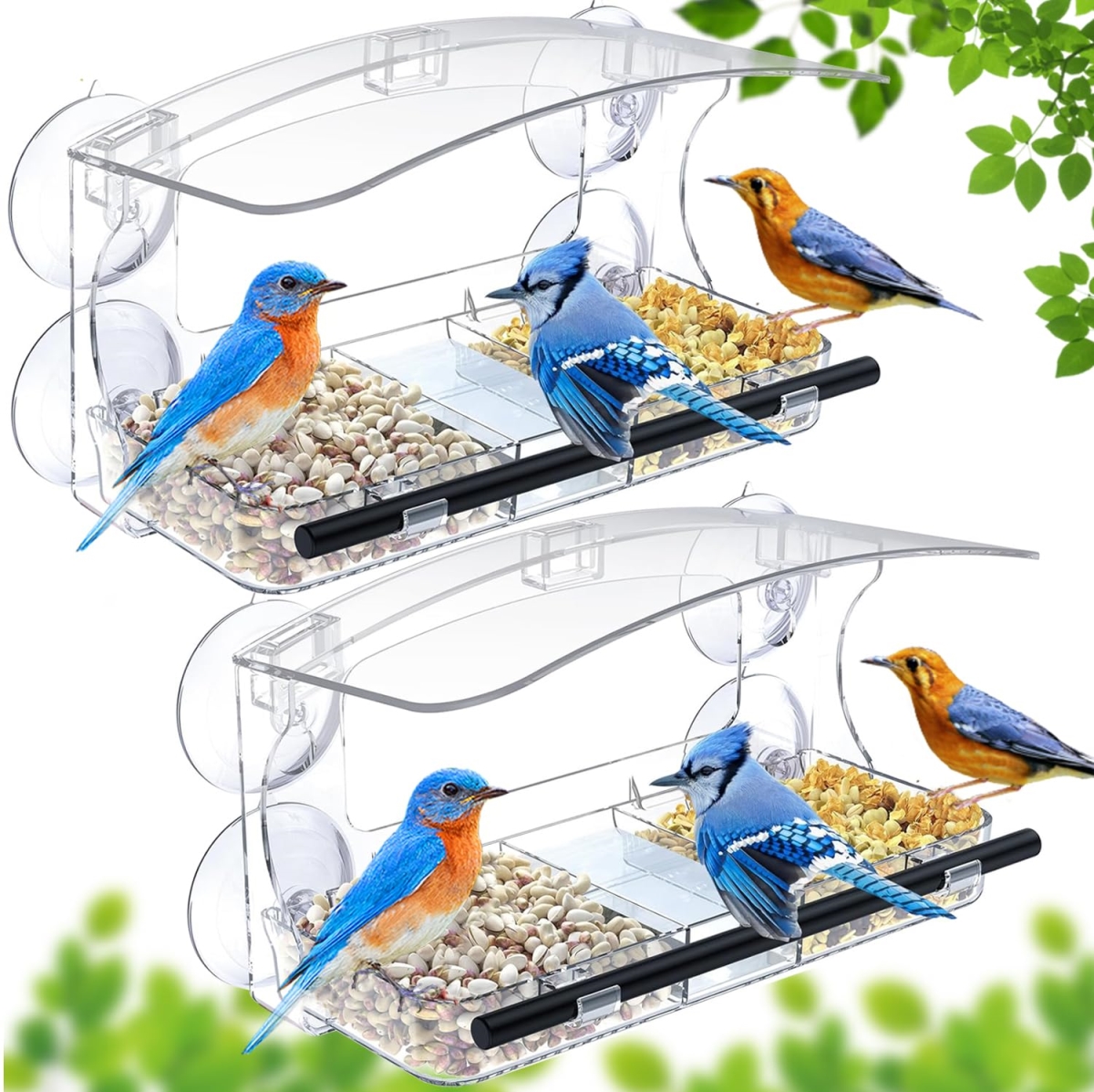 tek NT81364 Window Clear Bird Feeder with Strong Suction Cups & Drain Holes for Outside Viewing Wild Birds & Backyard Use, Pack of 2