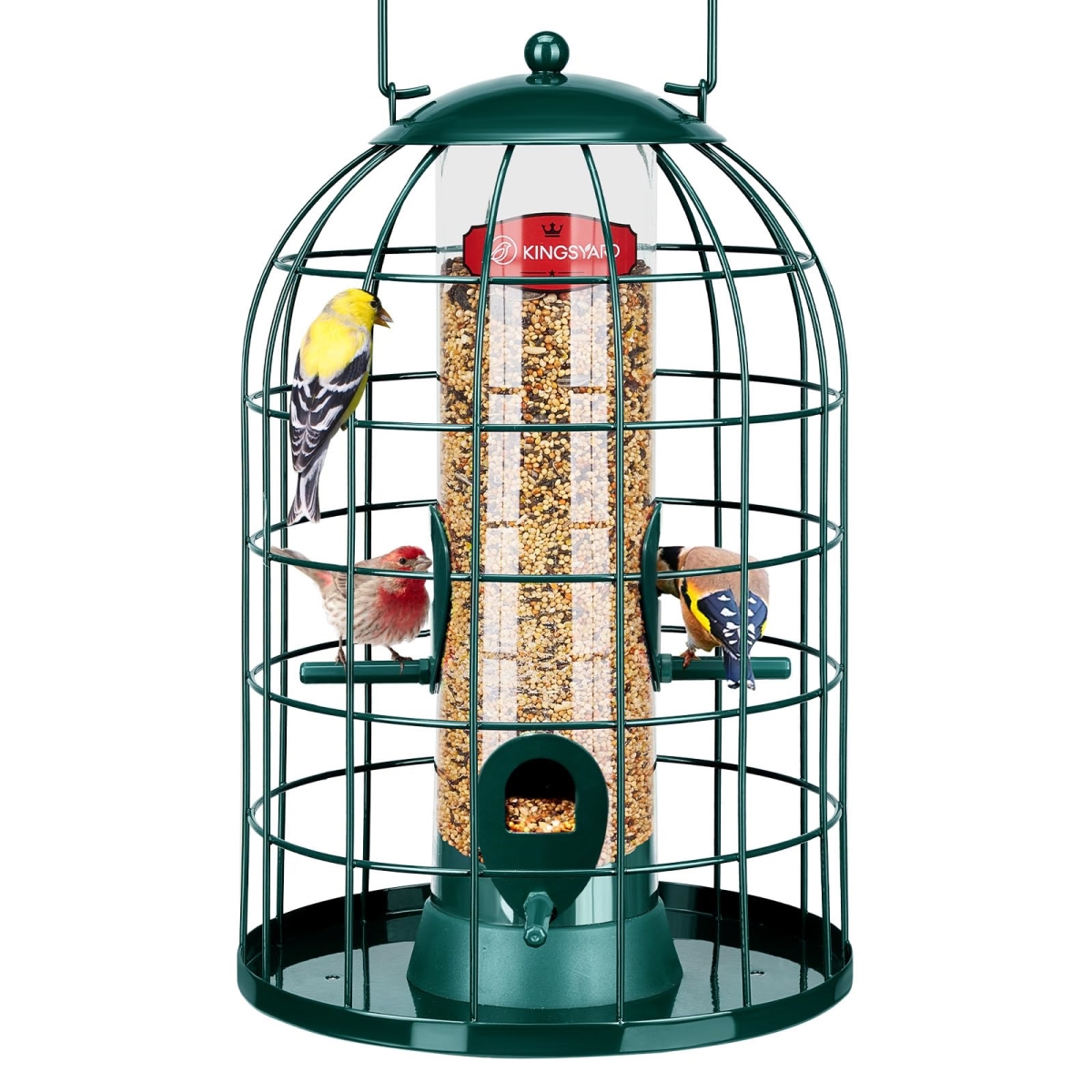 tek NT79507 Kingsyard Squirrel Proof Caged Wild Bird Feeder for Outdoor Hanging for Small Birds, Detachable Tube Feeder for Easy Clean, Green