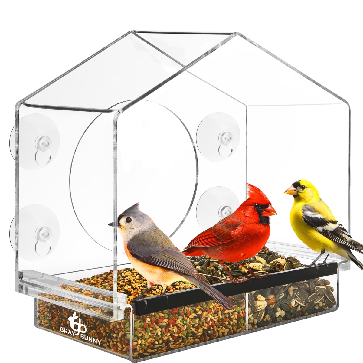 tek NT82117 Window Clear Bird Feeder with Strong Suction Cups, Drain Holes, Removable Tray & Large Seed Capacity for Outdoors