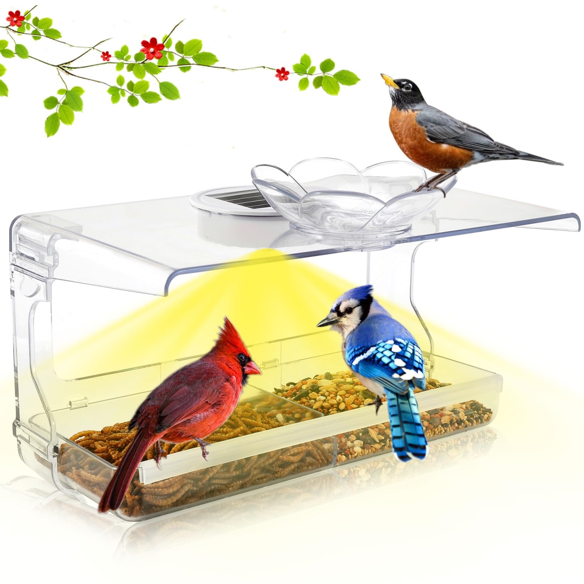 tek  Window Clear Transparent Bird Feeder with Non-Marking Self-Adhesive Hooks, Outdoor Wild Bird Watching Gift, Garden Decor, Solar Light