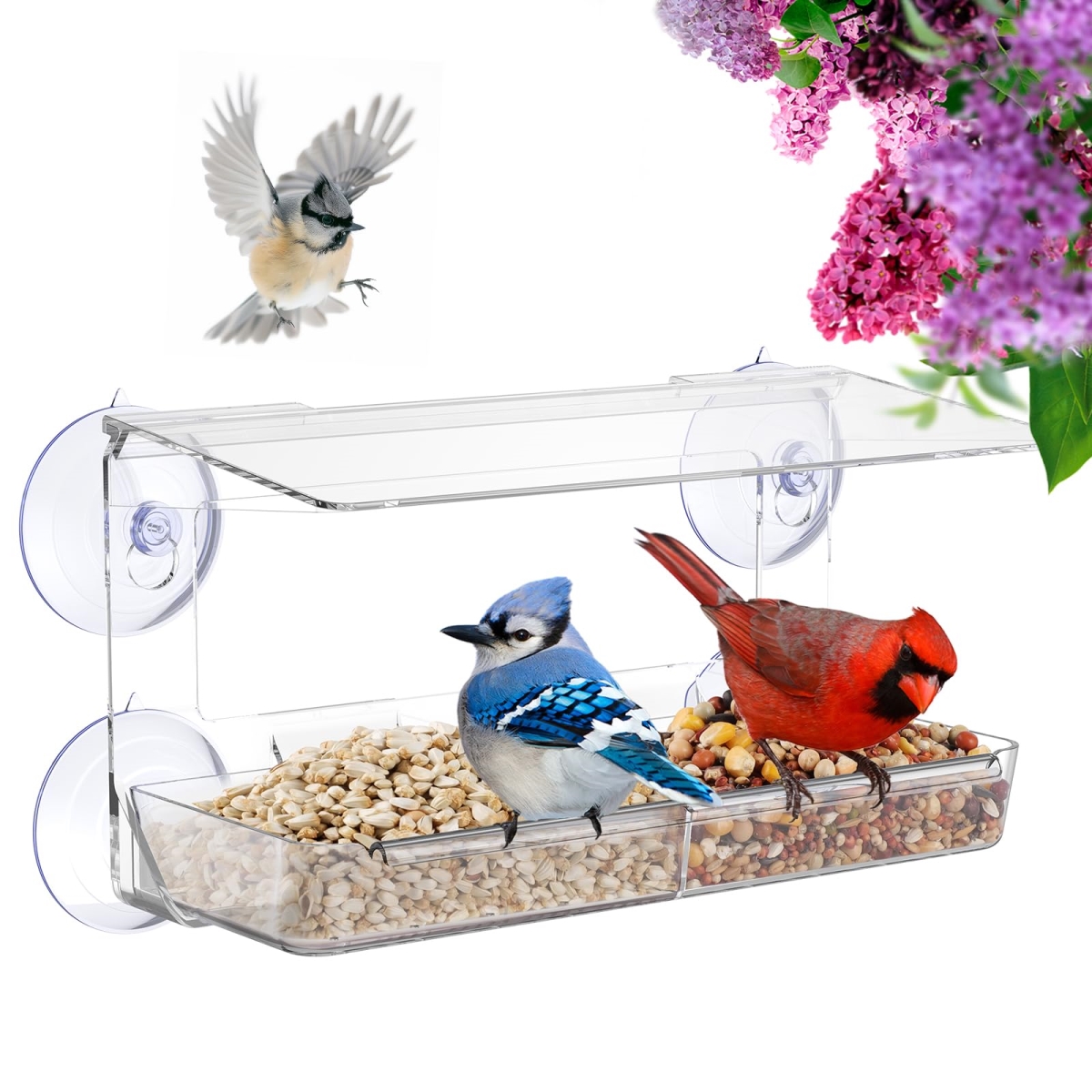 tek NT76132 MrCrafts Clear Window Bird Feeder for Viewing with Strong Suction Cups, Fits for Cardinal, Unique Gifts for Mom & Dad