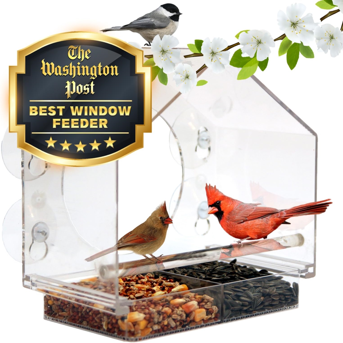tek  Window Transparent Acrylic Bird Feeder with Enhanced Suction Grip & Easy Clean Design, Outside Viewing Birdhouse for Cats, Pack of 2