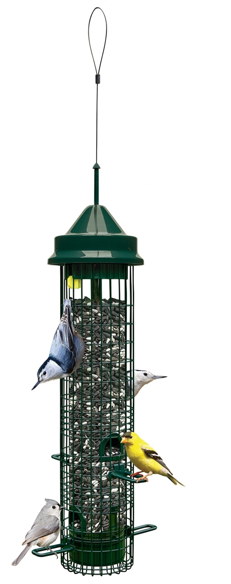 tek NT81391 Squirrel Buster Classic Squirrel-proof Bird Feeder with 4 Feeding Ports, 2.4 Pound Seed Capacity