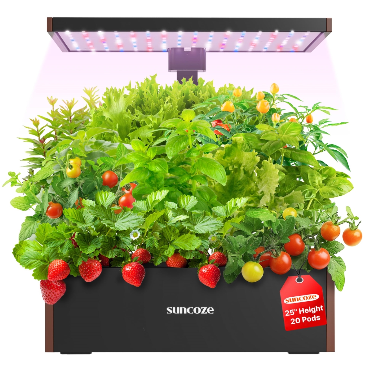NT84874 SUNCOZE Hydroponics Growing System Kit 20 Pods, Indoor Herb Garden with Grow Light, 10L Water Tank, Black & Brown