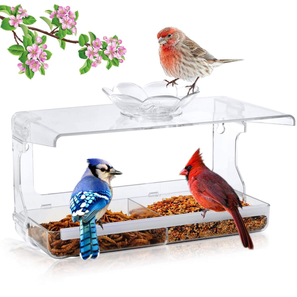 NT85749 Window Bird Feeder with Non-Marking Self-Adhesive Hooks - Clear & Transparent