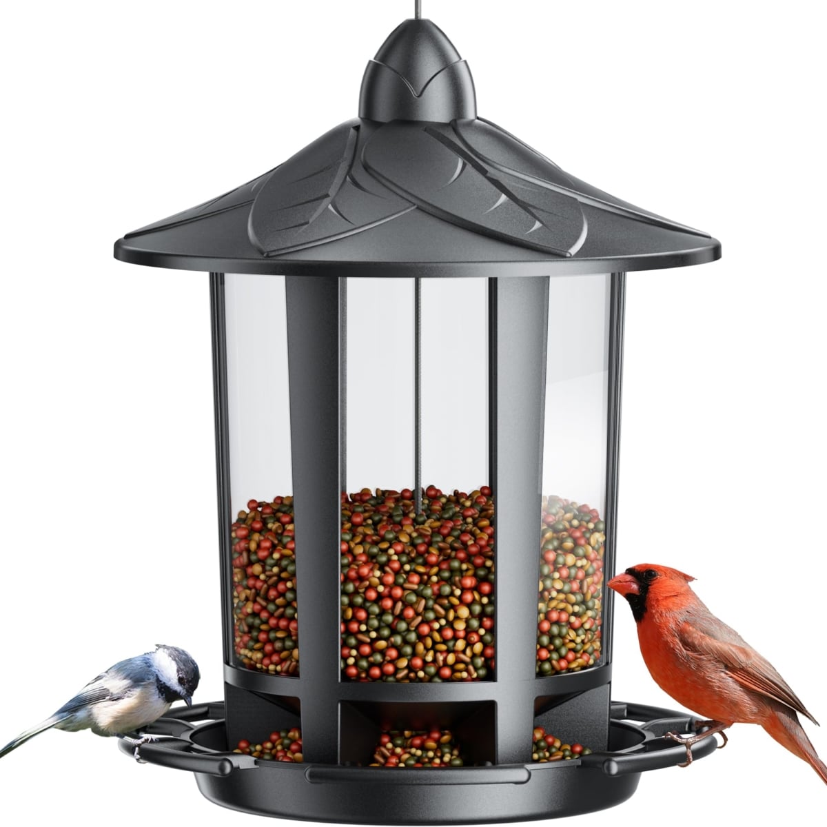 NT86015 Birdream Bird Feeders for Outdoors, Classic Castle Design, Hanging Bird Feeder - Black
