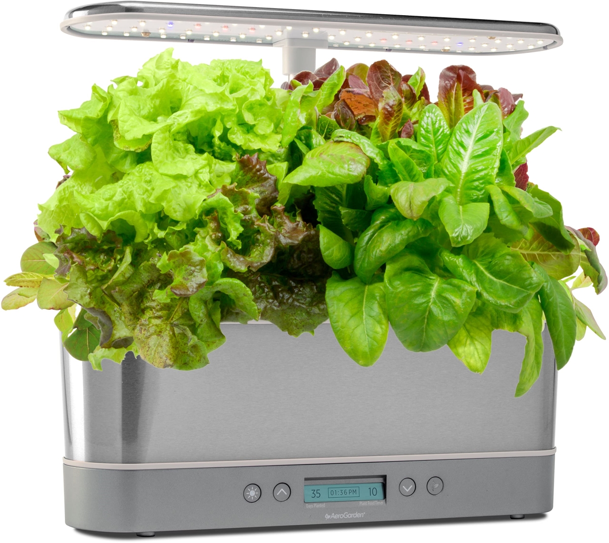 NT86343 Harvest Elite Slim SS with Heirloom Salad Kit