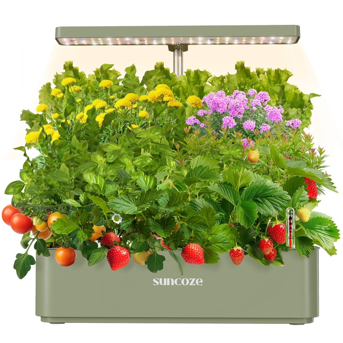 NT84065 SUNCOZE Hydroponics Growing System Kit with 12 Pods & 24W LED Grow Light - Green