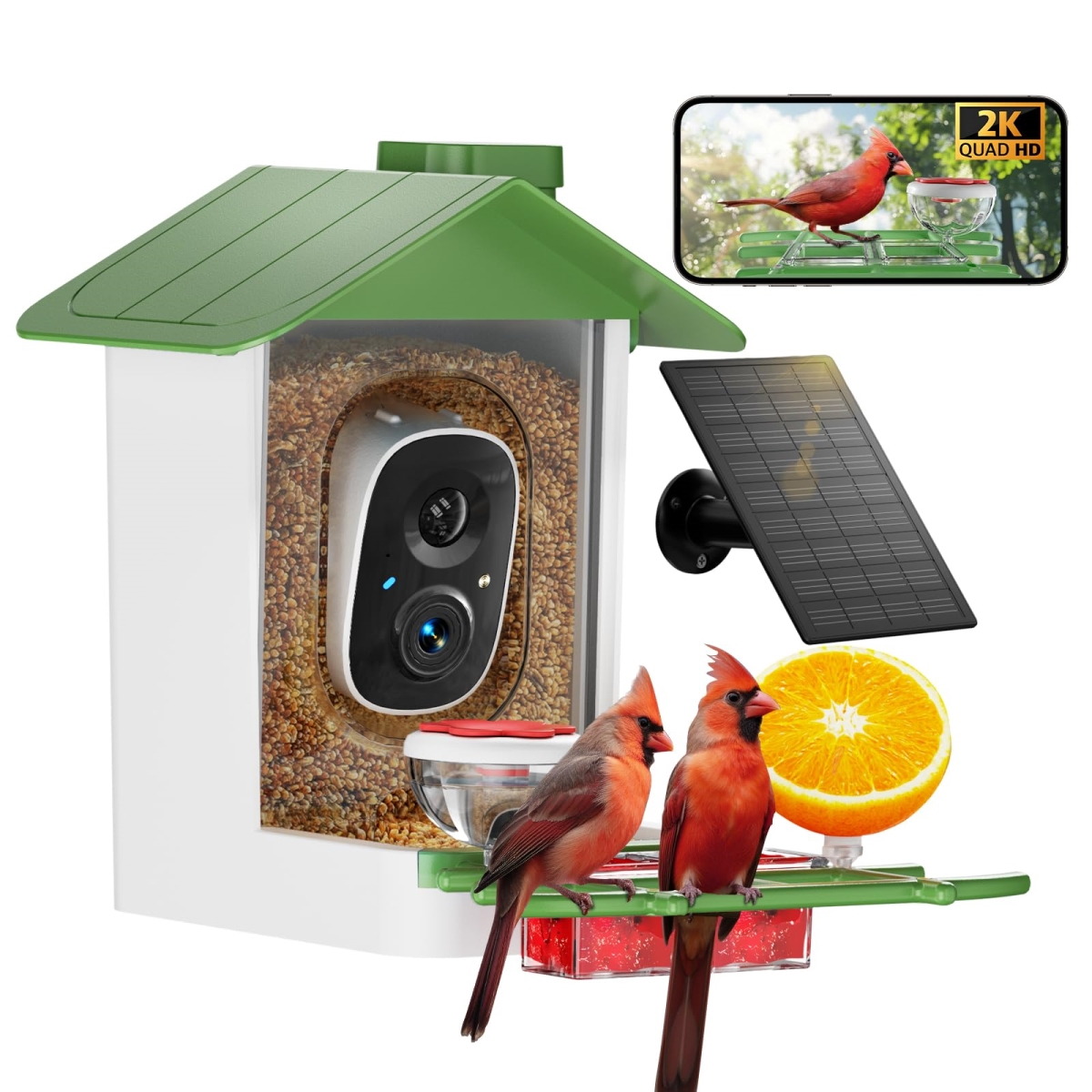 NT87987 Bird Feeder with 2K HD Camera & AI Bird Species Identification - Green