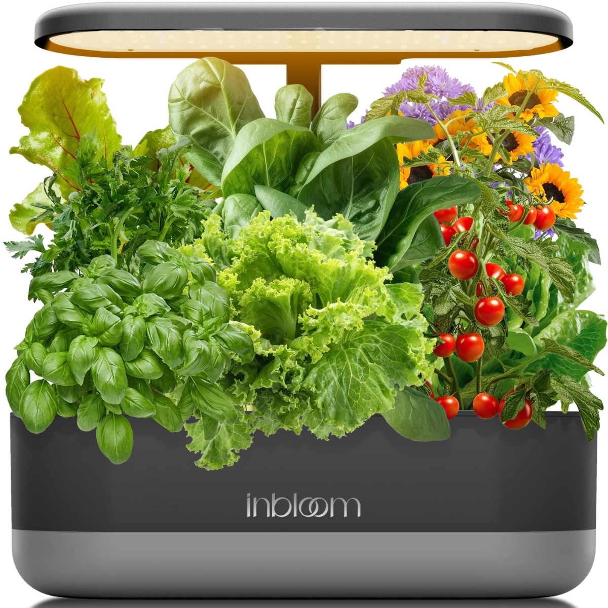 NT83819 Inbloom 12 Pods Hydroponics Growing System Kit, Indoor Herb Garden Planter - Black