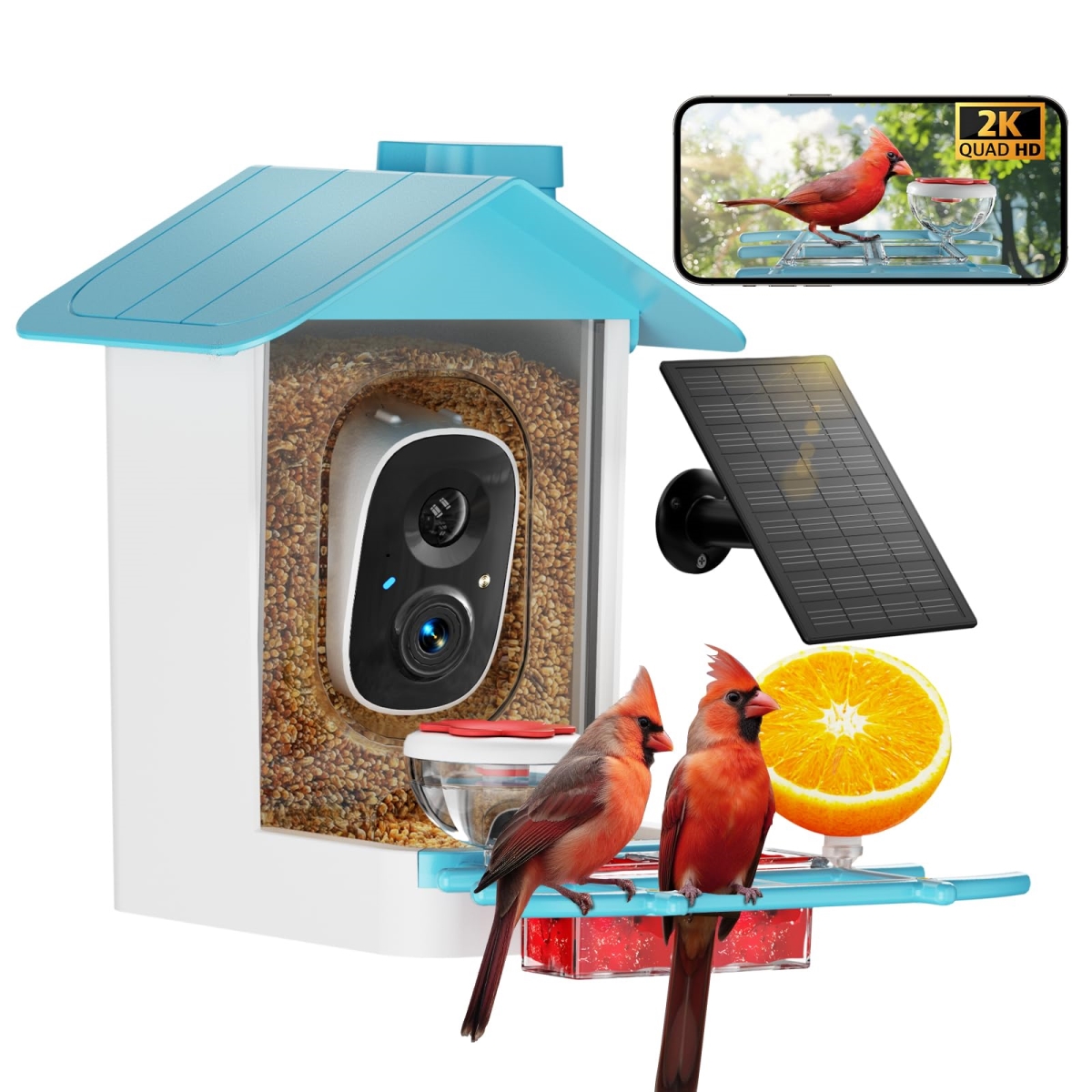 NT87986 Bird Feeder with 2K HD Camera & AI Bird Identification, Solar-Powered, Blue