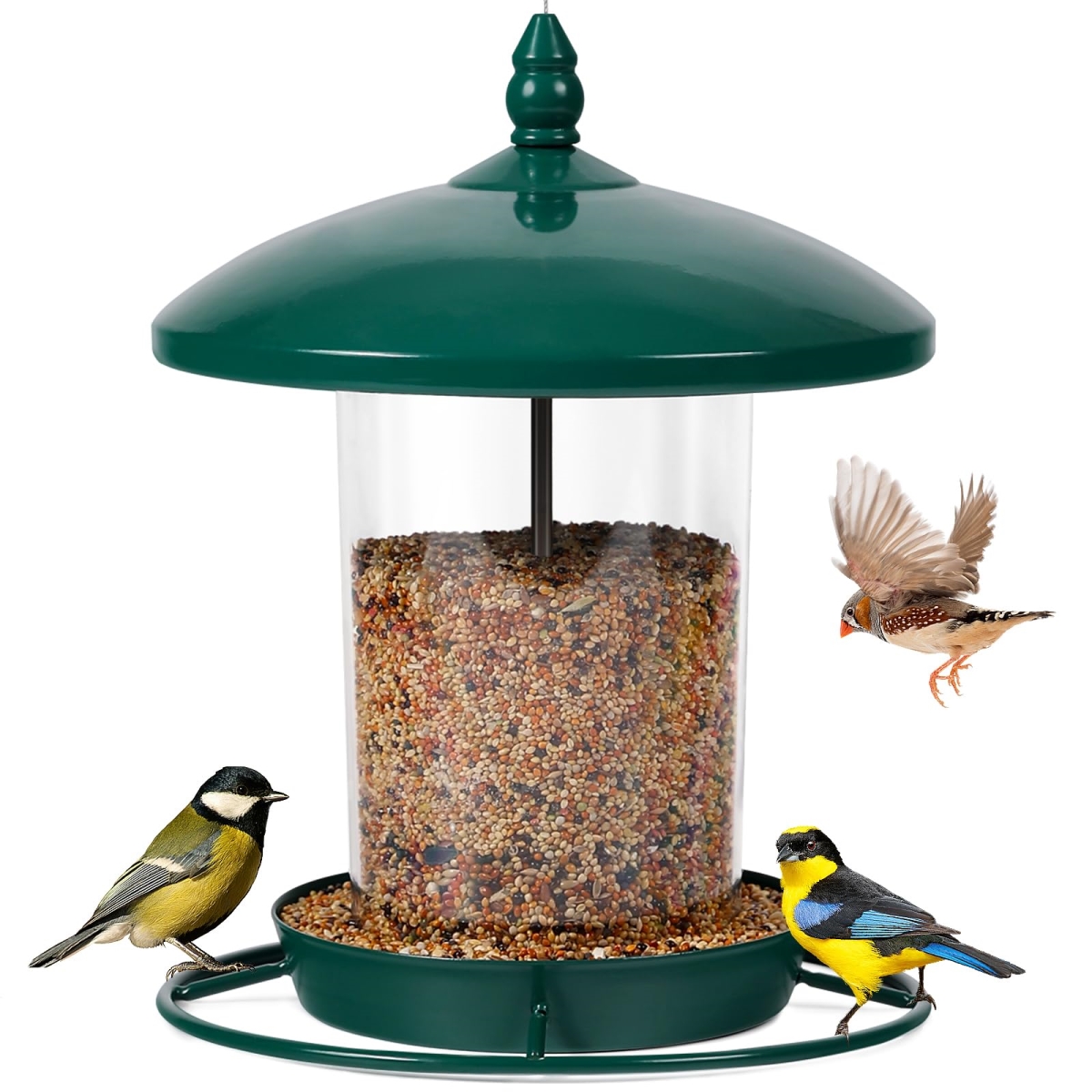 NT85513 Metal Bird Feeder for Outdoors, 3.0 lbs Capacity, Green