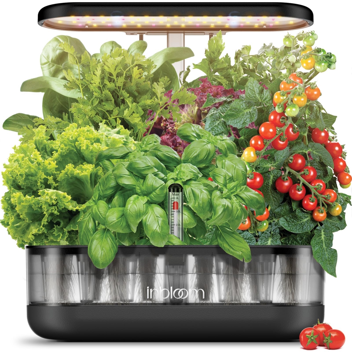 NT83818 Inbloom 12 Pods Hydroponics Growing System Kit, Indoor Herb Garden Planter - Transparent Black
