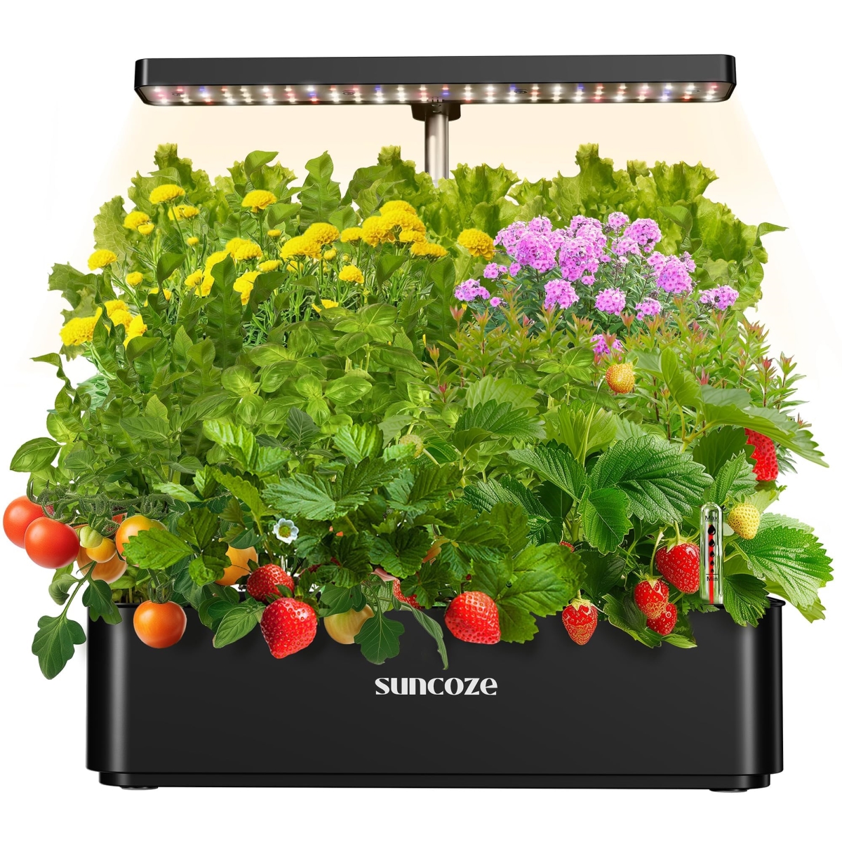 NT84064 SUNCOZE Hydroponics Growing System Kit with 12 Pods & 24W LED Grow Light - Black