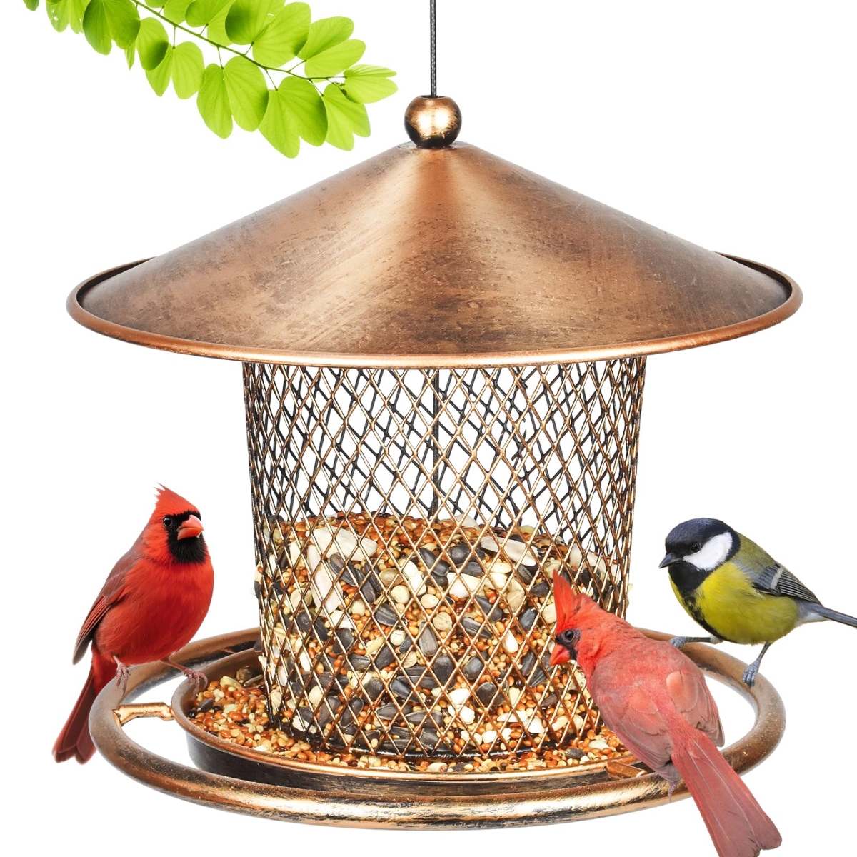 NT84426 Heavy Duty Metal Bird Feeder for Outdoors, 2 lbs Capacity, Cute Lantern Design