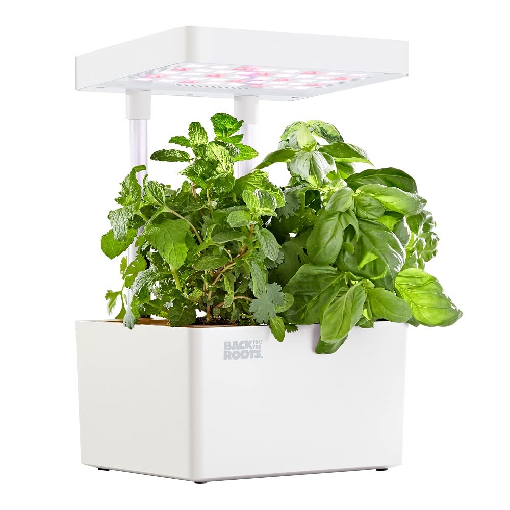 NT87268 Back to the Roots Hydroponic Grow Kit